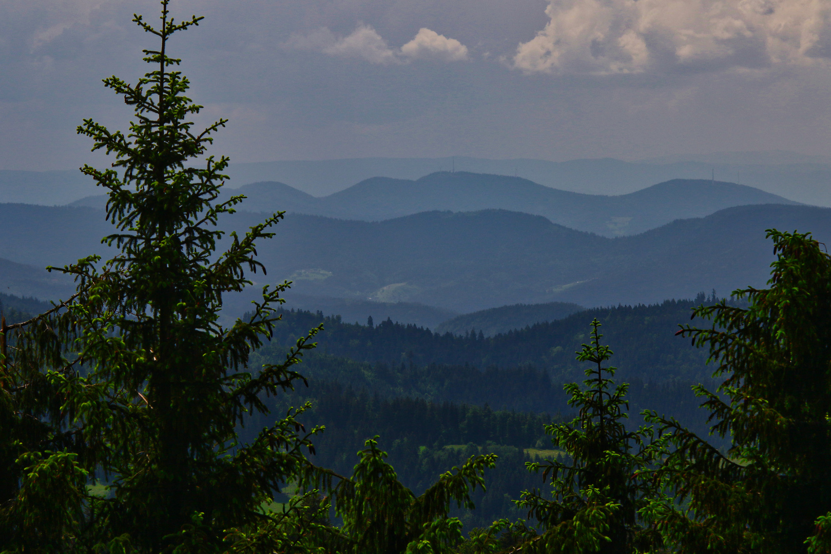 Schwarzwaldpanorama