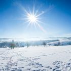 Schwarzwaldpanorama