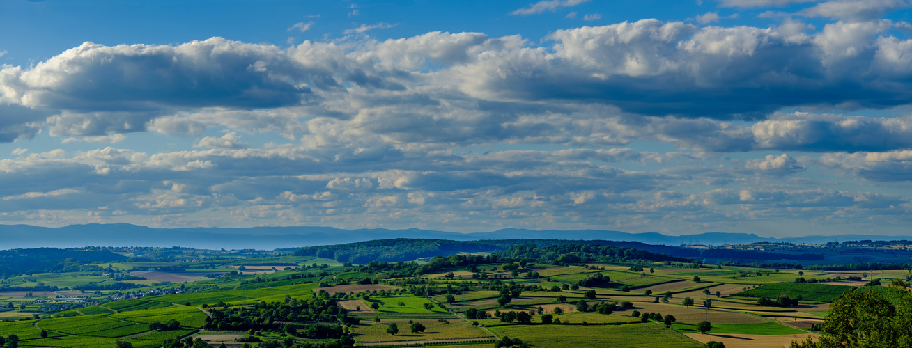 Schwarzwaldpanorama