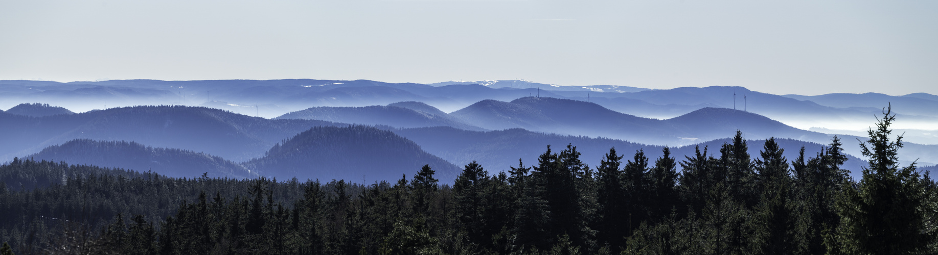 Schwarzwaldpanorama