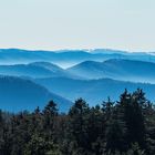 Schwarzwaldpanorama