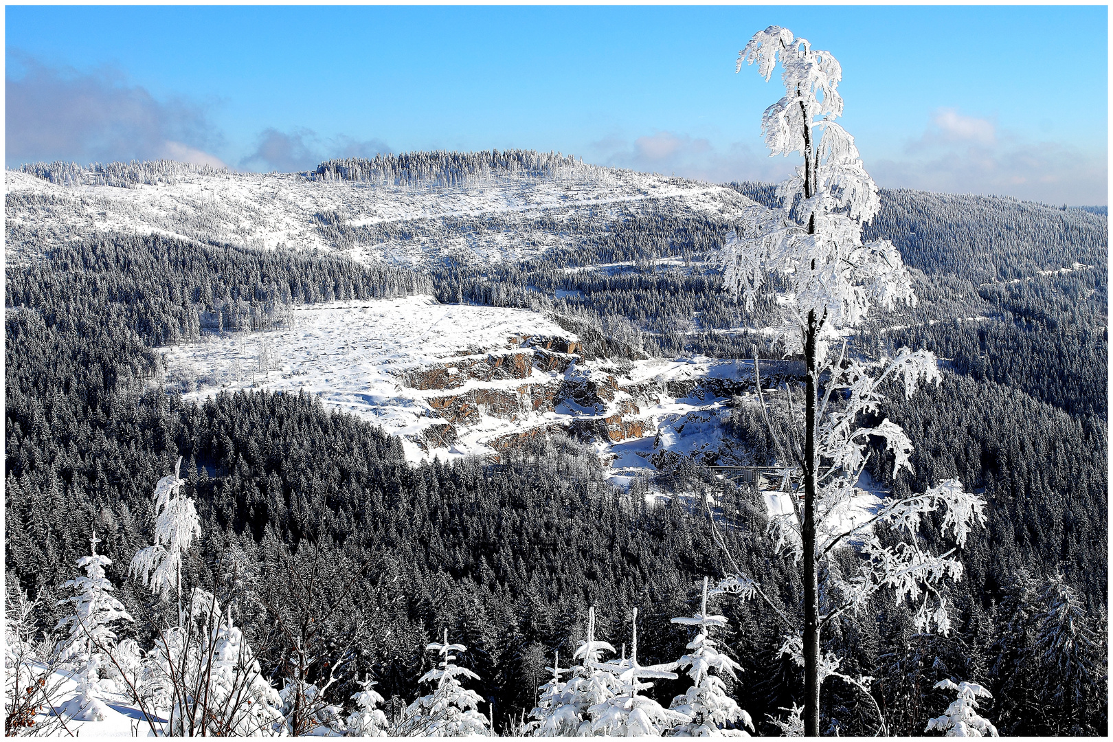 Schwarzwaldpanorama