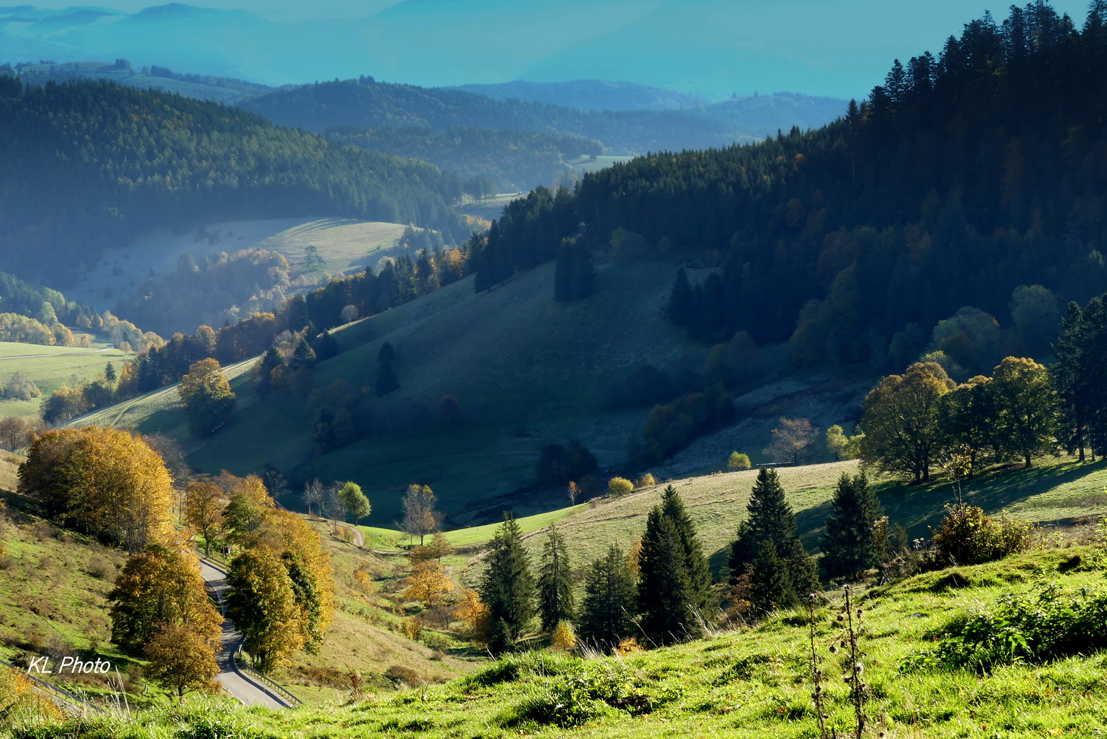 Schwarzwaldpanorama