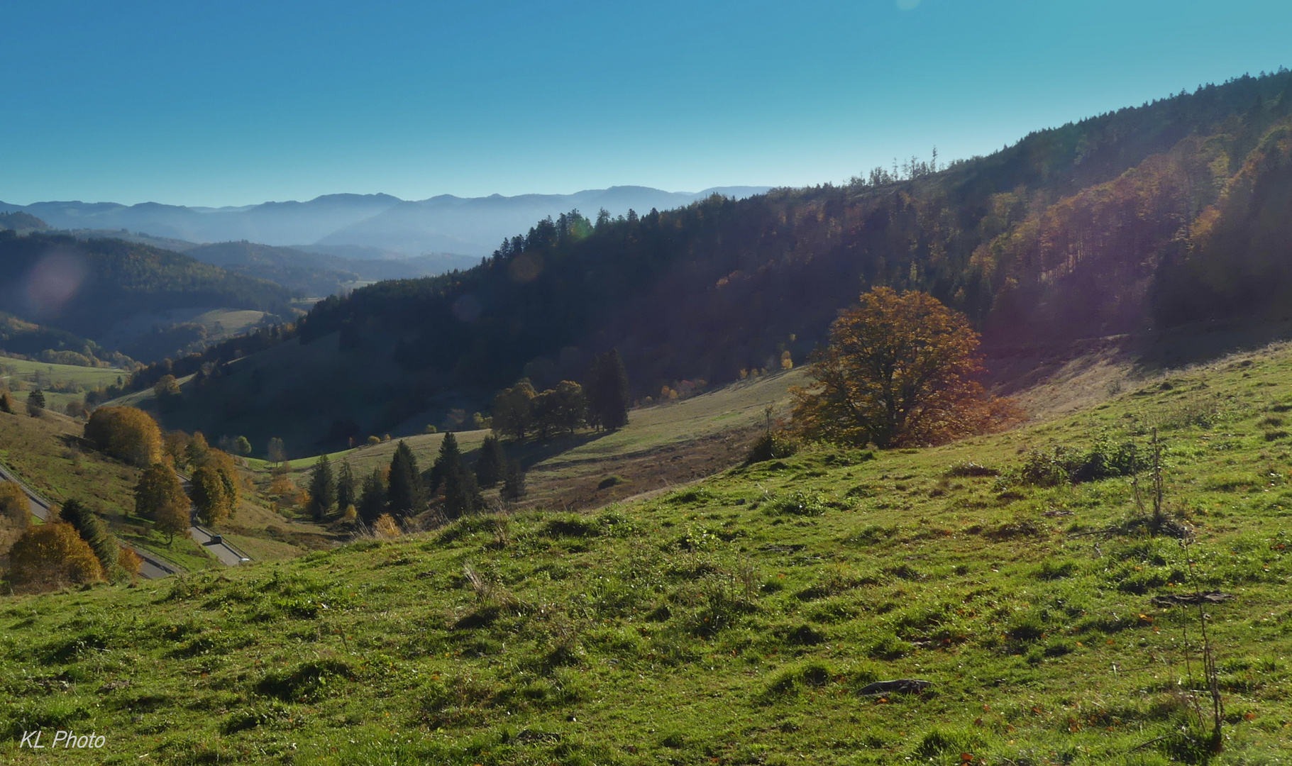 Schwarzwaldpanorama zur Mittagszeit