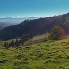 Schwarzwaldpanorama zur Mittagszeit