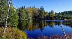 schwarzwaldsee im herbst