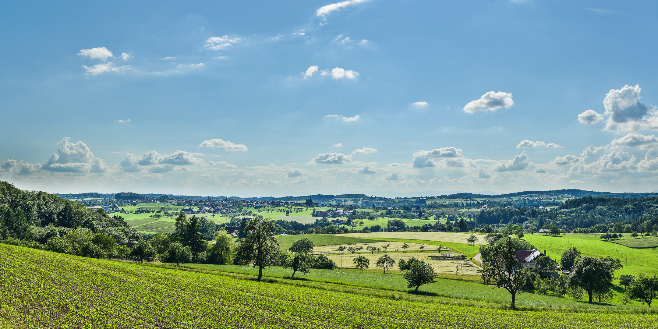 Schwarzwaldstadt (Freiamt)