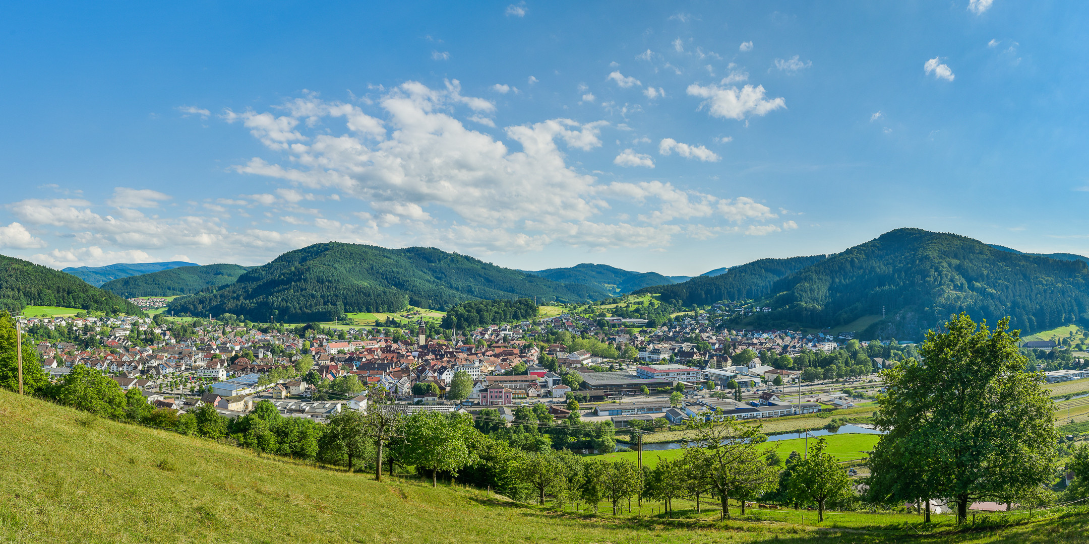 Schwarzwaldstadt (Haslach i.K.)