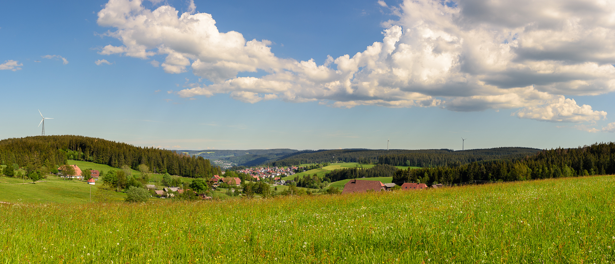 Schwarzwaldstadt (Schonach)