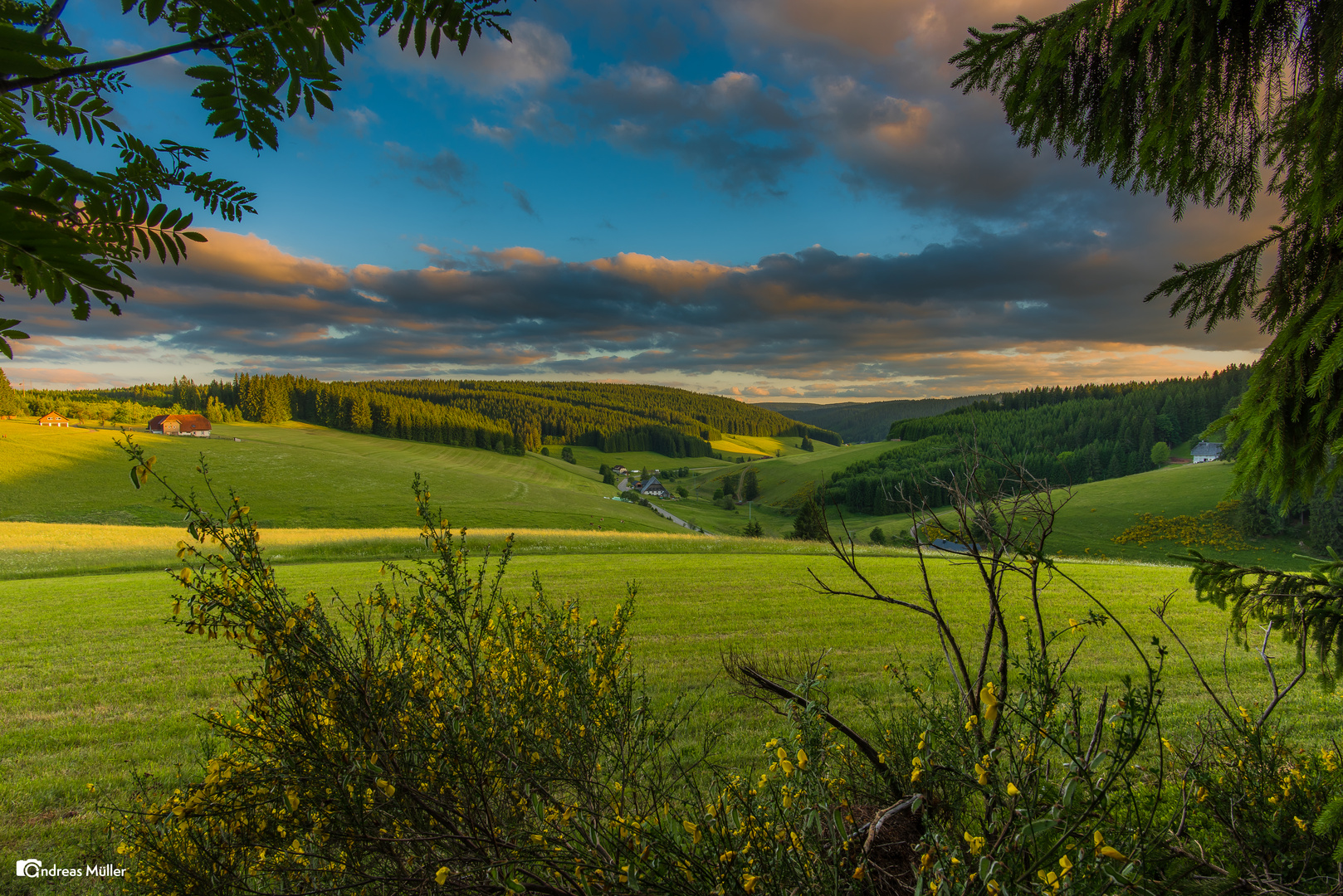 Schwarzwaldtal