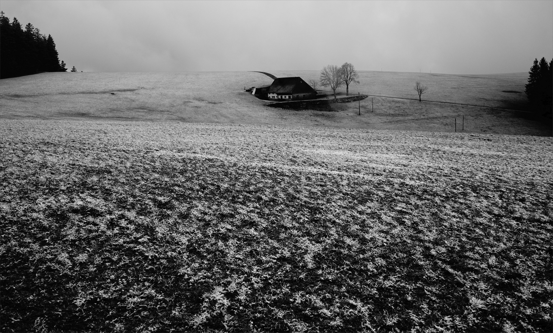 Schwarzwaldtal