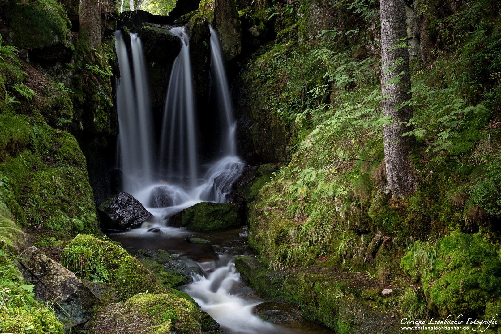 SCHWARZWALDWASSERFALL