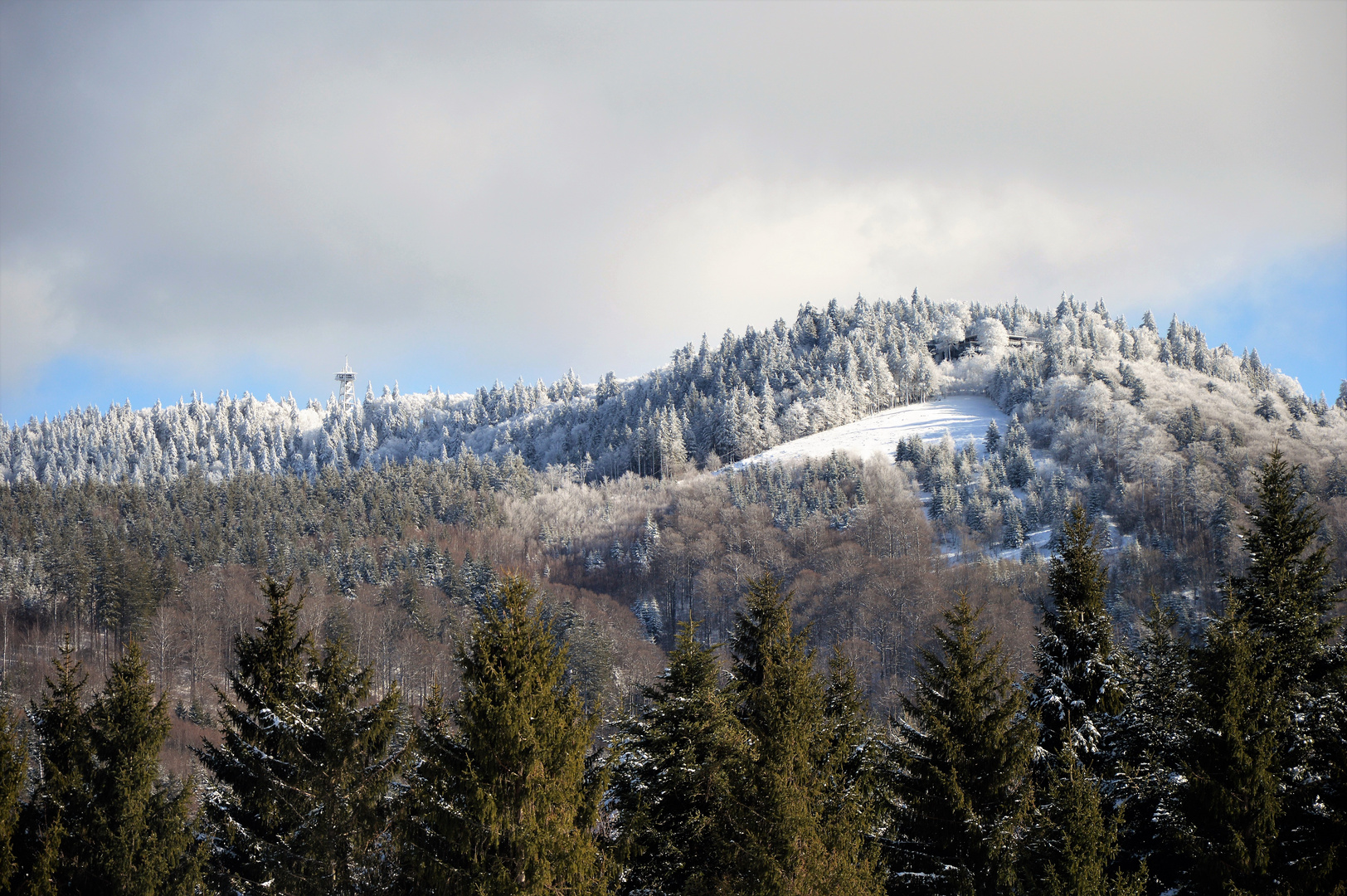 Schwarzwaldwinter