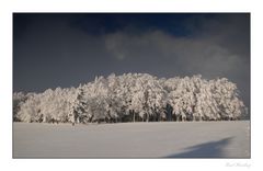 Schwarzwaldwinter