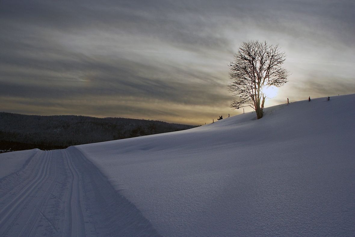 Schwarzwaldwinter 4