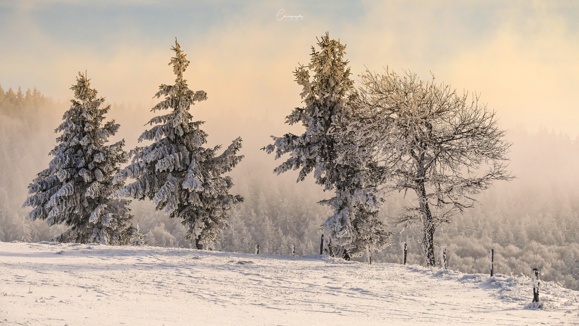 Schwarzwaldwinter 