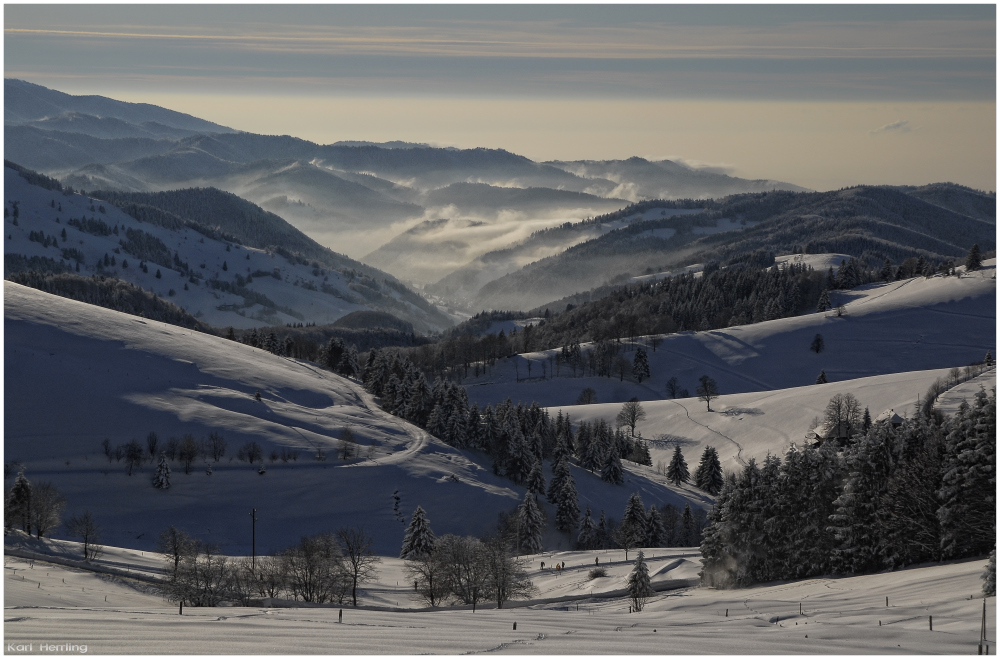 Schwarzwaldwinter