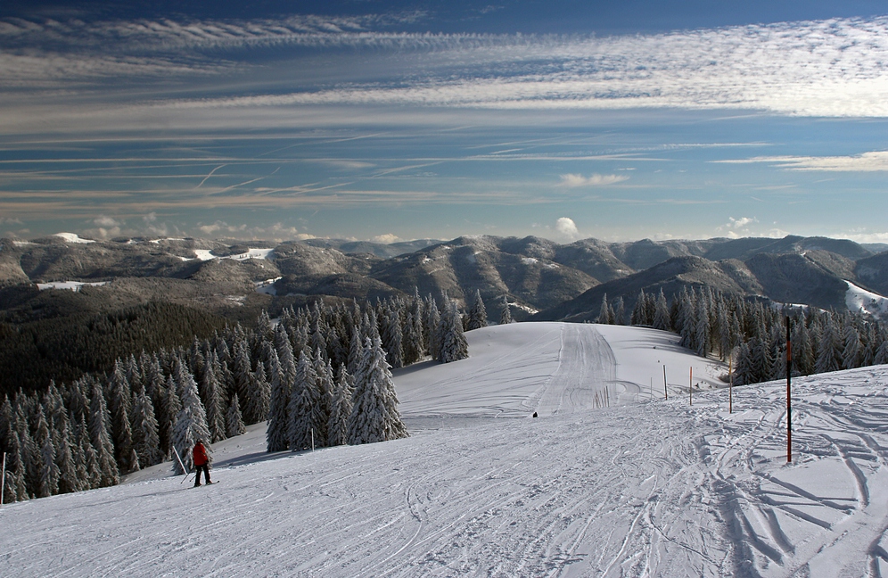 Schwarzwaldwinter