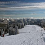 Schwarzwaldwinter