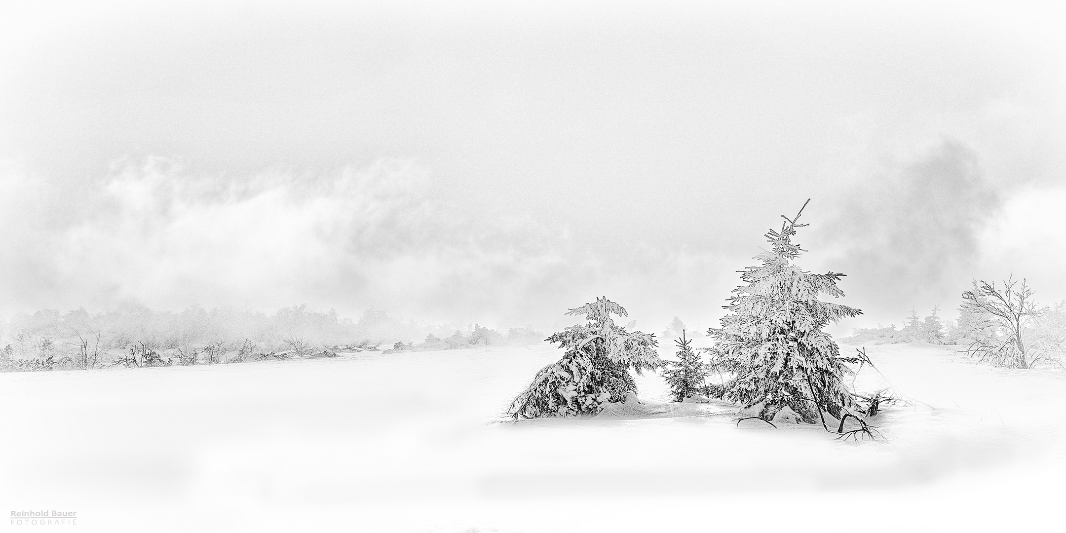 Schwarzwaldwinter