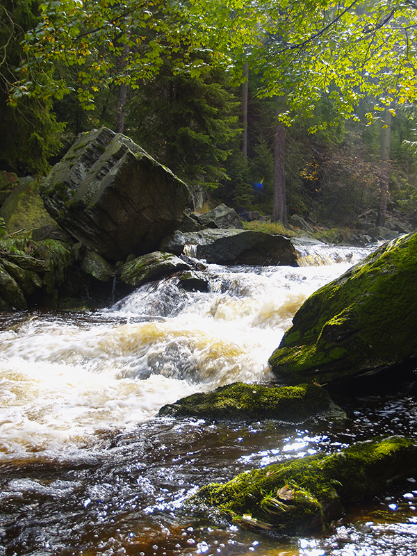 Schwarzwasser