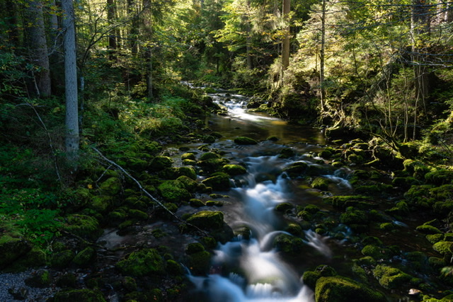 Schwarzwasserbach