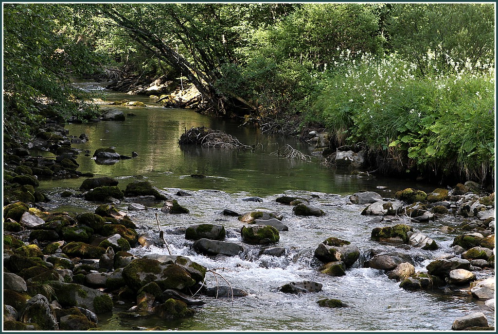 Schwarzwasserbach