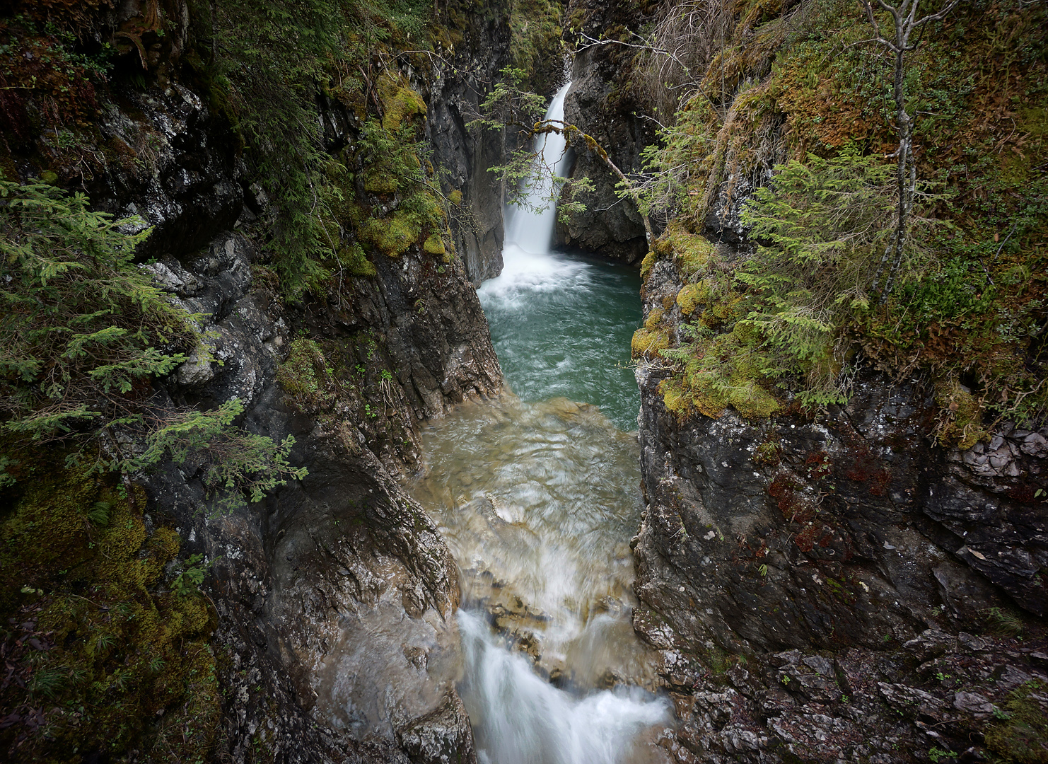 Schwarzwasserbach