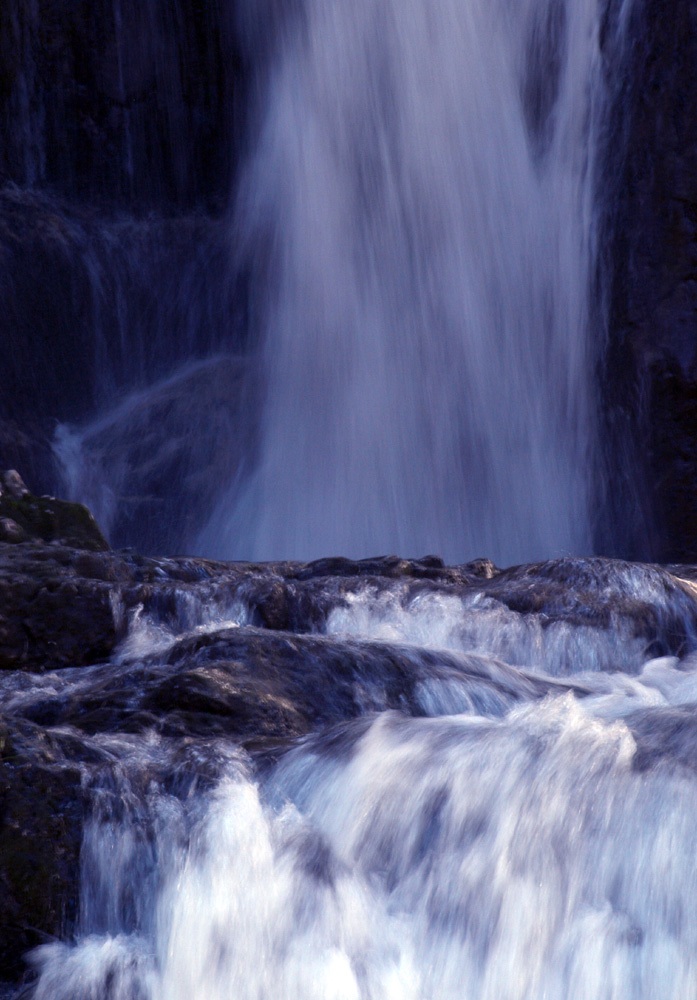 Schwarzwasserbach im Frühling