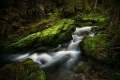 Schwarzwasserbach Kleinwalsertal