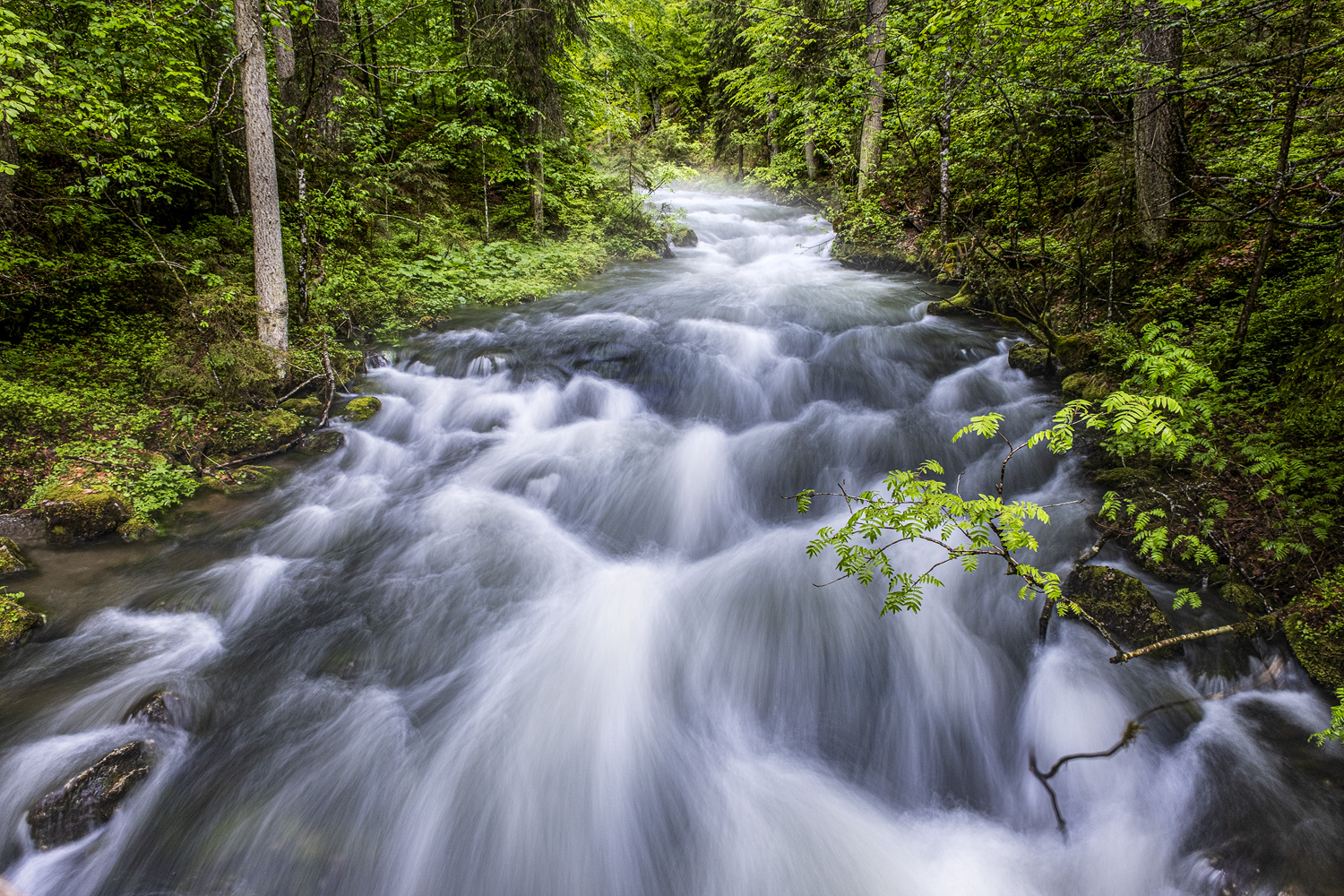 schwarzwasserbach nach dem regen