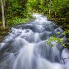 schwarzwasserbach nach dem regen