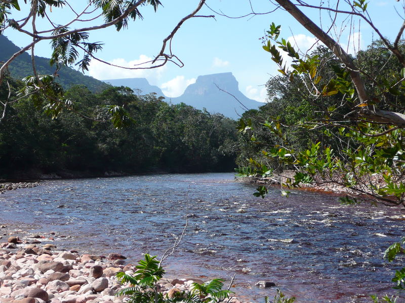 Schwarzwasserfluss am Auyan-Tepui