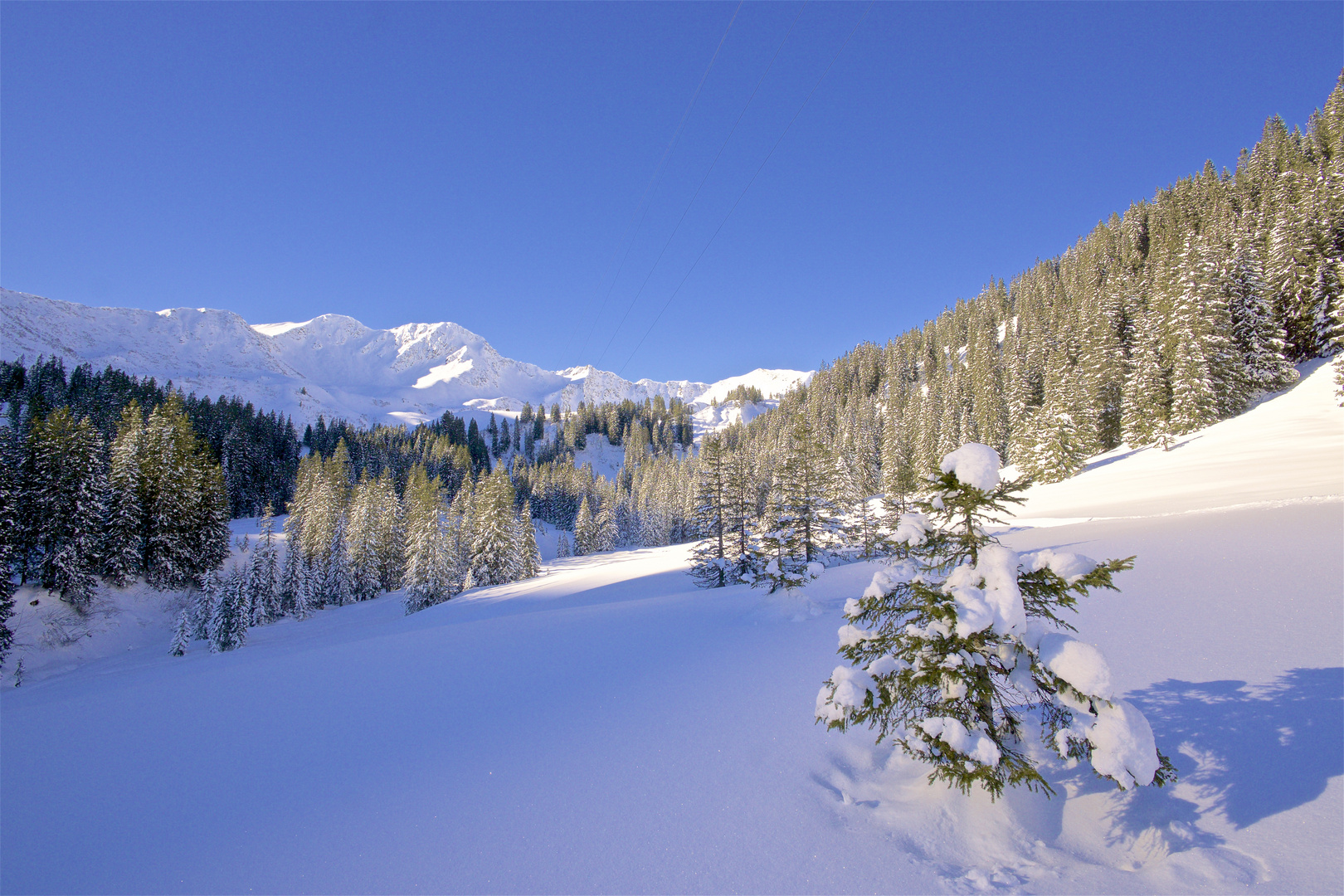 Schwarzwassertal