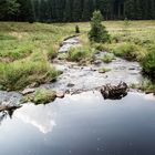 Schwarzwassertal