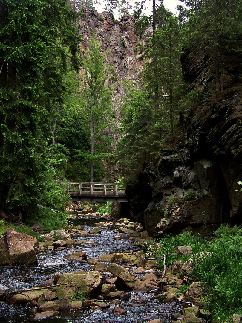 Schwarzwassertal