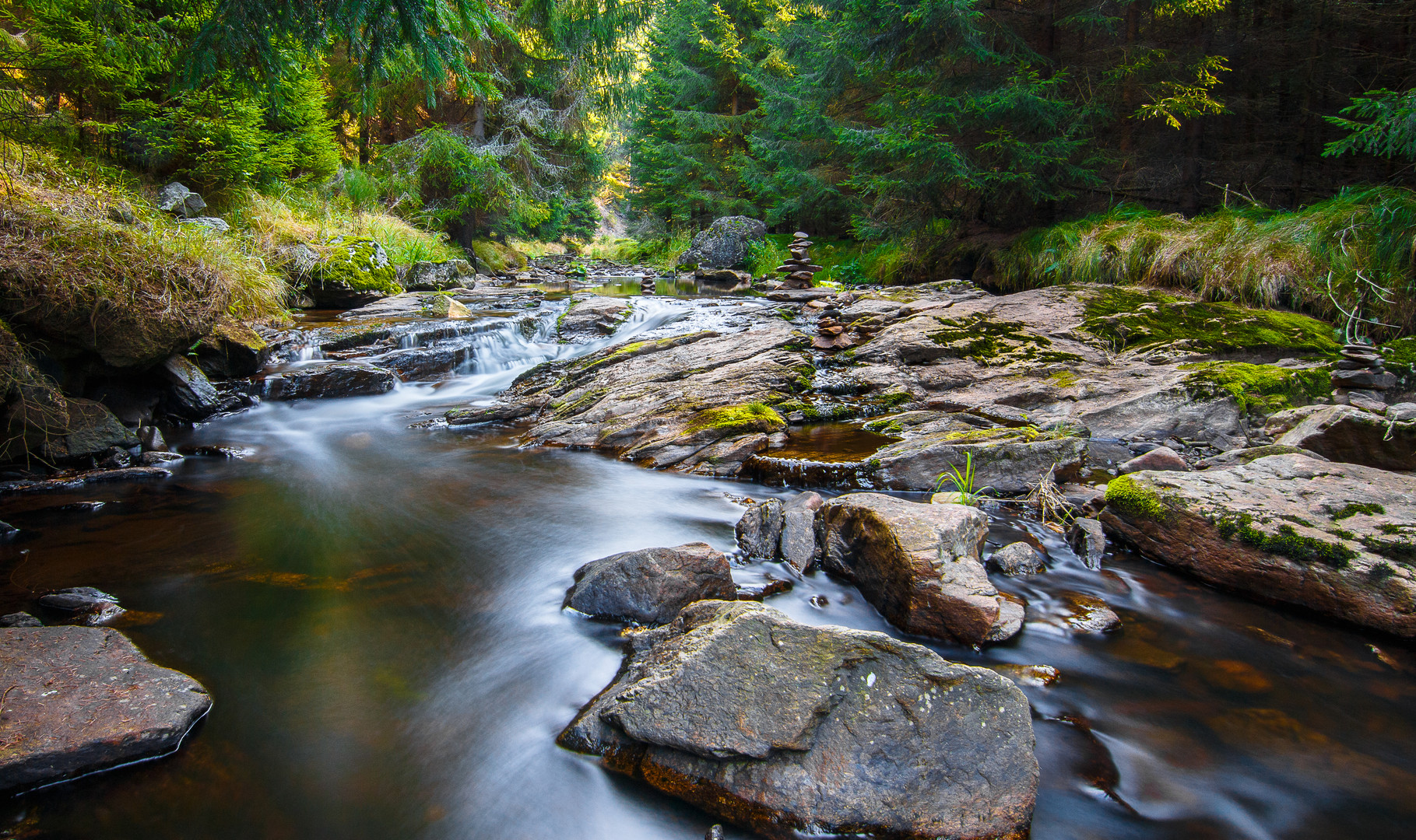 Schwarzwassertal