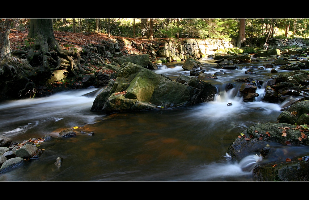 Schwarzwassertal