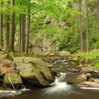 Schwarzwassertal