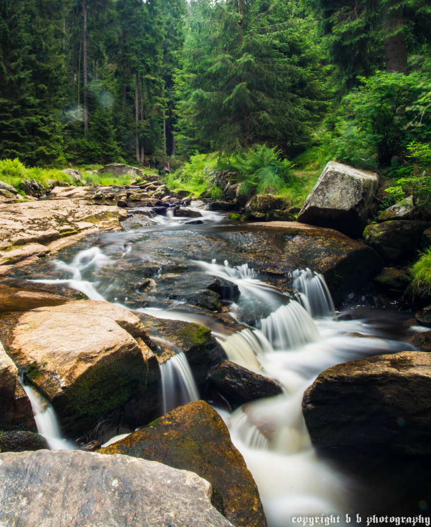 Schwarzwassertal