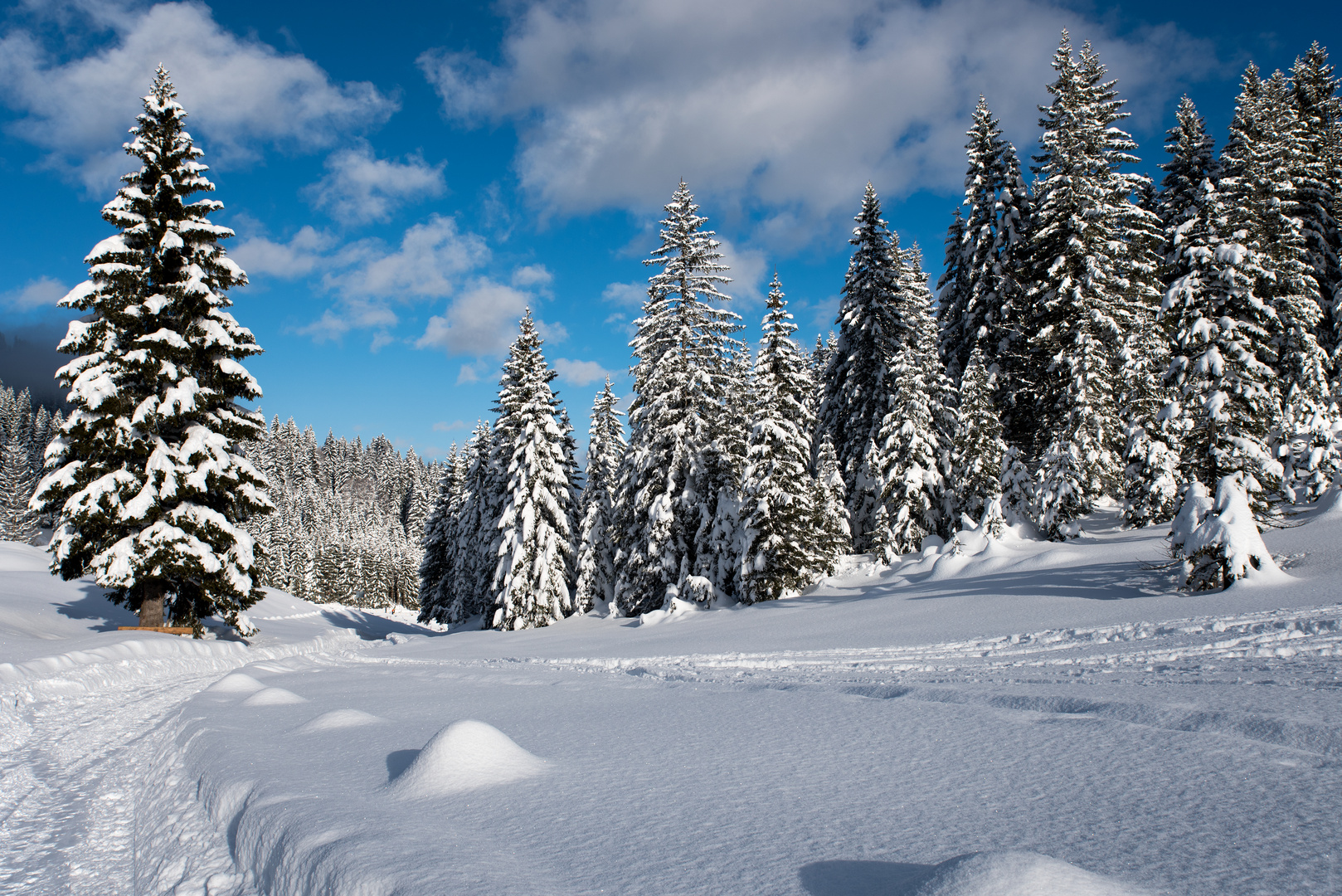 Schwarzwassertal