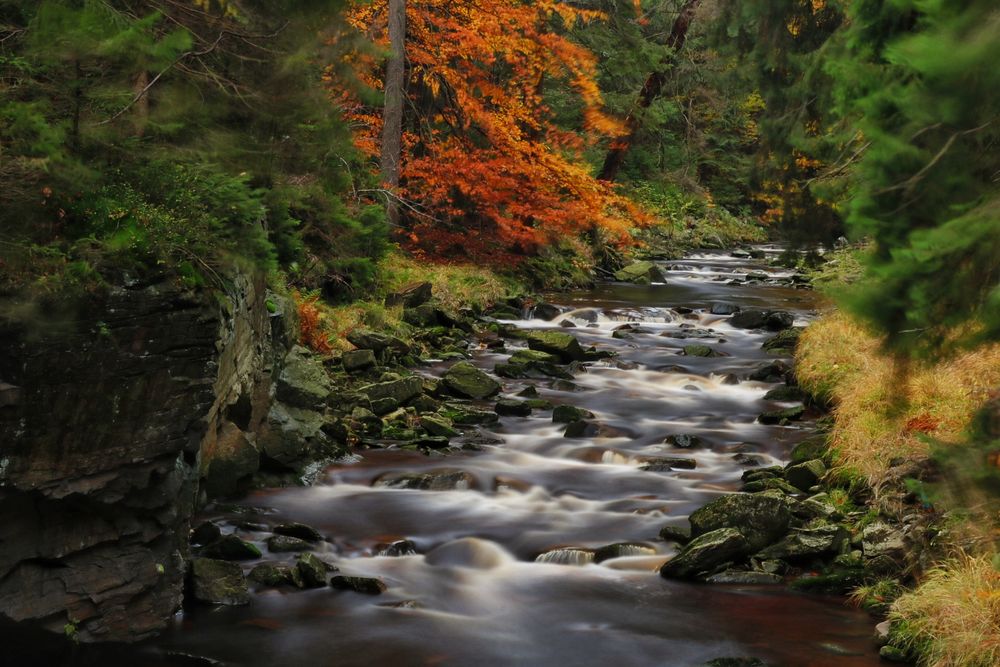 Schwarzwassertal im Erzgebirge