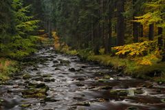 Schwarzwassertal im Erzgebirge