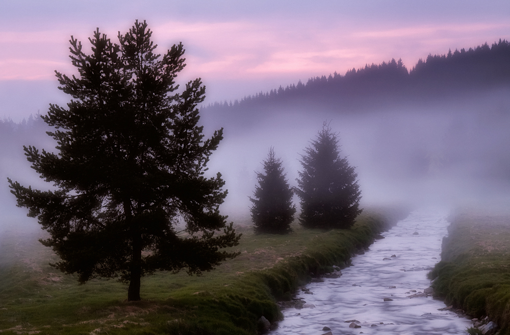 Schwarzwassertal im Nebel