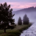 Schwarzwassertal im Nebel