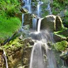 Schwarzwassertal = Märchenwald