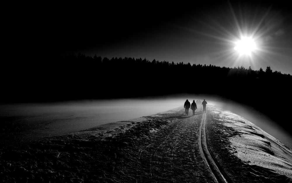 schwarz/weiss Foto & Bild | wald, sonne, winter Bilder auf fotocommunity