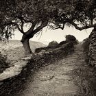 Schwarzweiss-Fotografie: Amorgos (Kykladen, Griechenland)