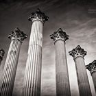 Schwarzweiss-Fotografie: Cordoba - Templo Romano