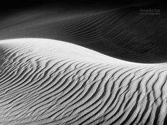 Schwarzweiss-Fotografie: Dunas de Maspalomas